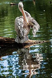 《使命召唤19》简中翻译过于接地气 在网上引发争议